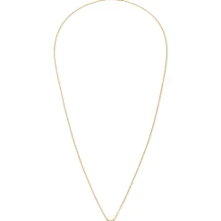 BDM Studio Court^Collier Melia