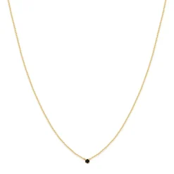BDM Studio Court^Collier Secret