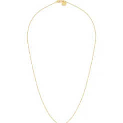 BDM Studio Court^Collier Secret