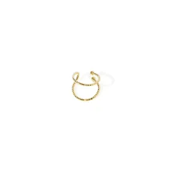 BDM Studio Piercing^Piercing Ode